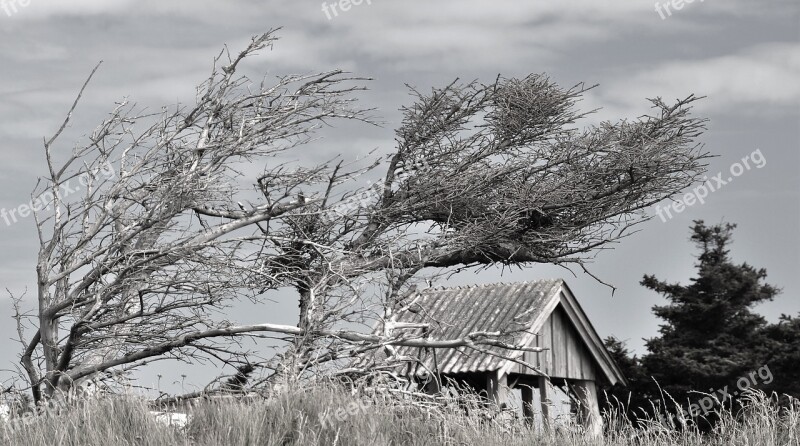 Wind Storm Winds From The West Clouds Denmark