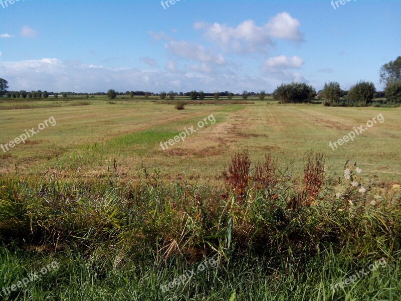 Fields Low Oudenbosch Nature Reserve Nature Grassland