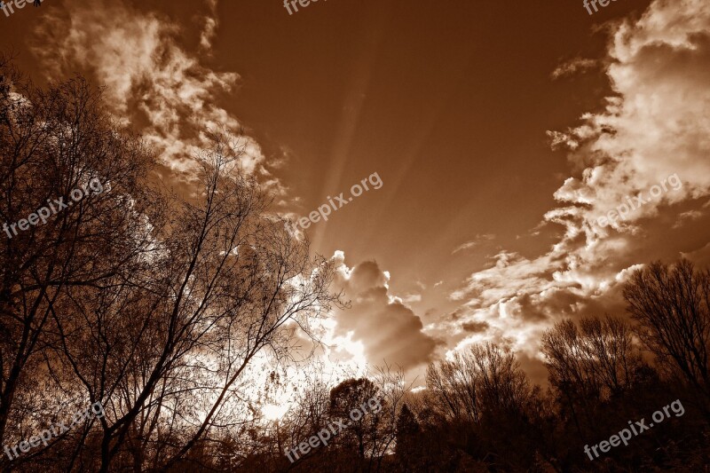 Sky Clouds Cumulus Trees Silhouette