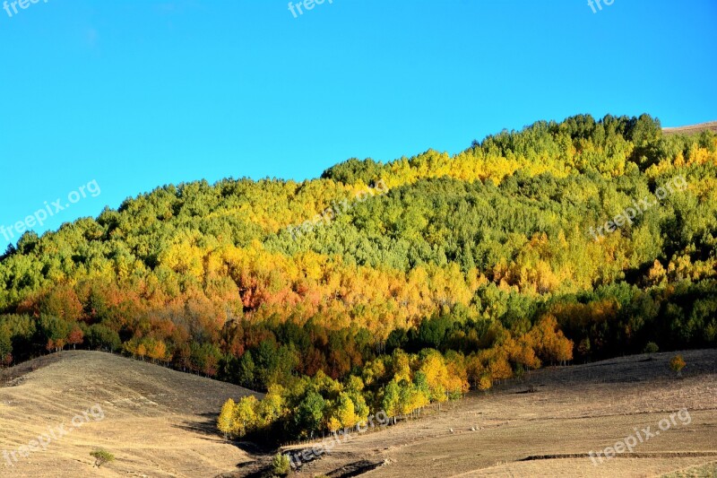 Autumn Season Nature Beautiful Outdoor