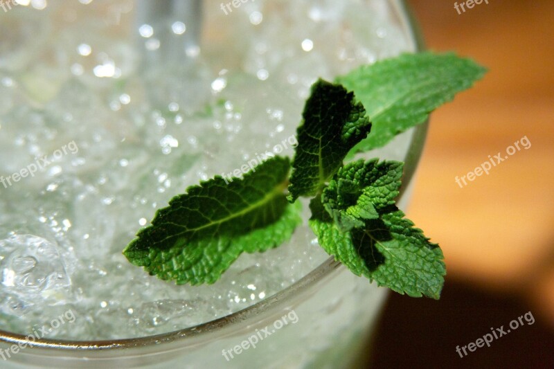 Mint Cocktail Ice Glass Green