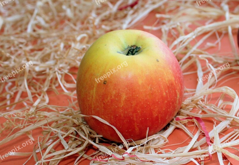 Apple Fruit Healthy Food Fruit Growing Autumn