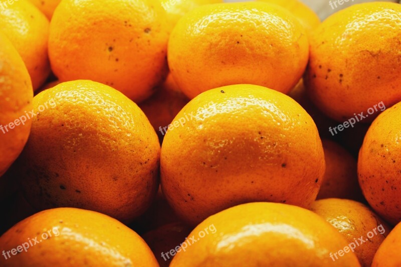 Oranges Orange Nature Fruit Citrus Fruit