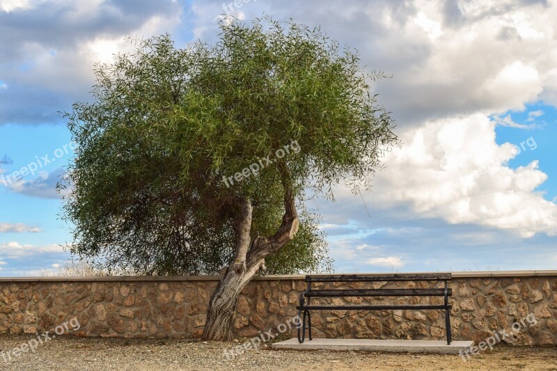 Tree Bench Scenery Sky Clouds