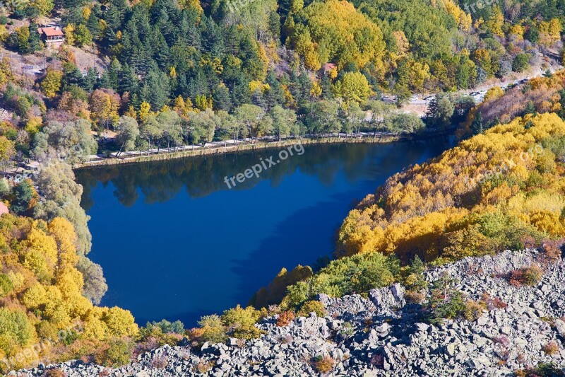 Autumn Forest Yellow Nature Beautiful