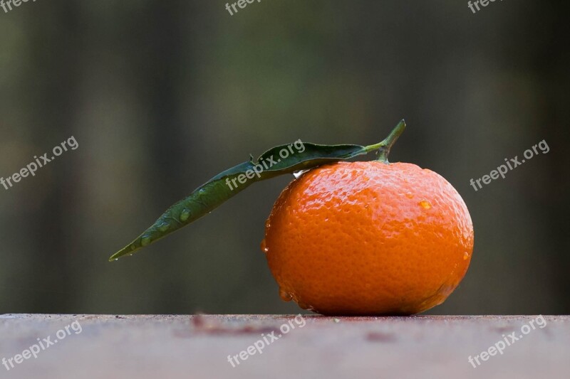 Mandarin Fruit Clementines Power Food