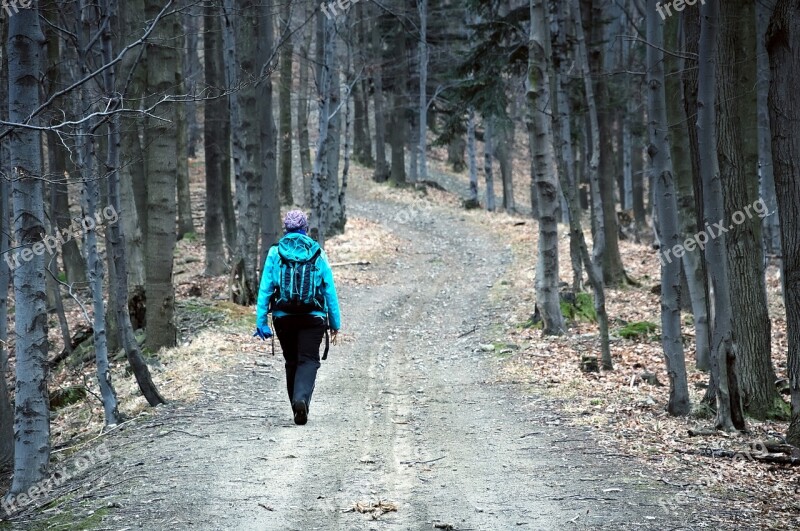 Tourism Wandering Way March Forest