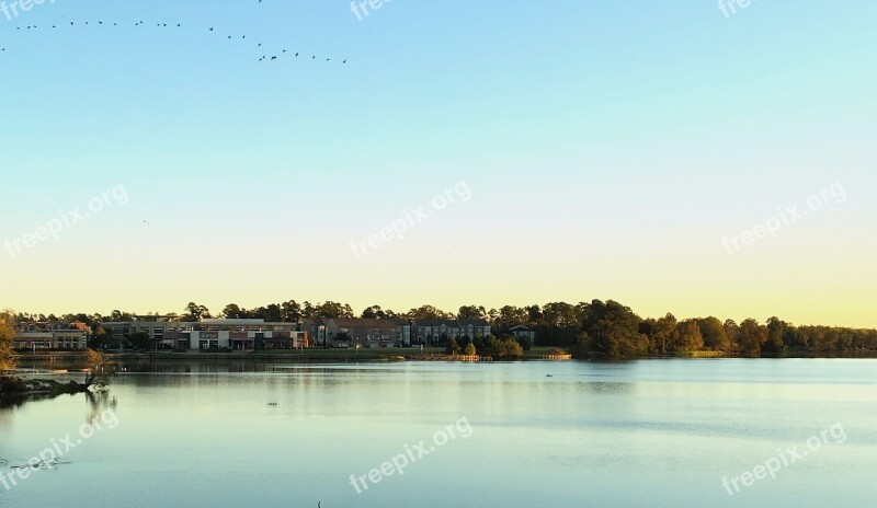 Kingwood Morning Houston Landscape Texas