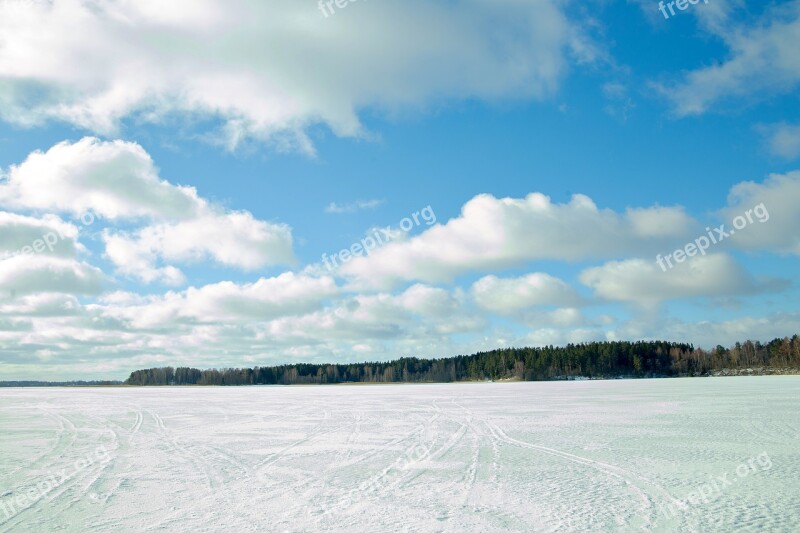 The First Snow Clouds Snow Winter Forest