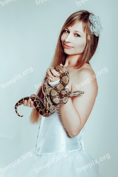 With A Snake Boa Constrictor Snake Tamer Reptiles