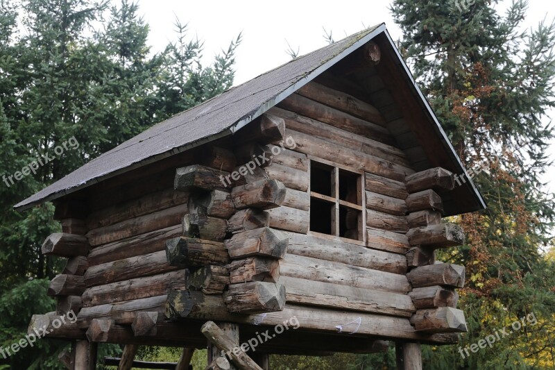 Tree House Wood Wooden Nature House