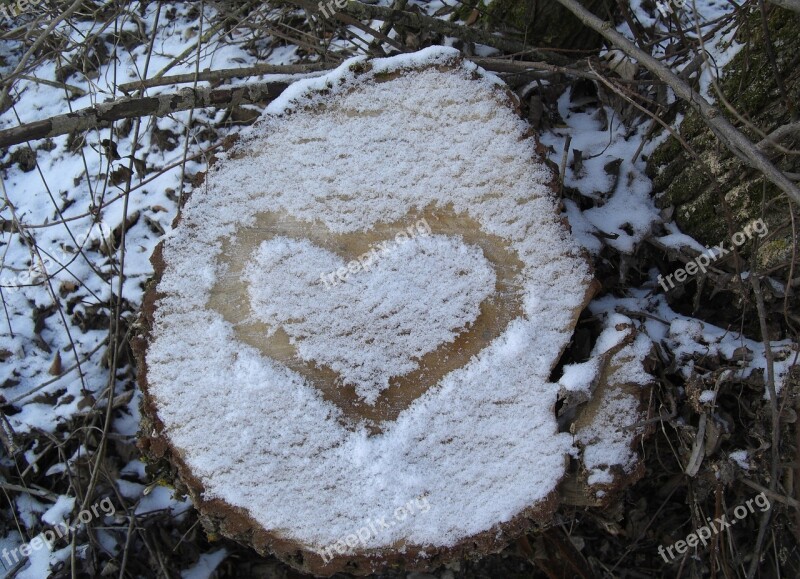 Heart Snow Tree Stump Snow Heart Free Photos