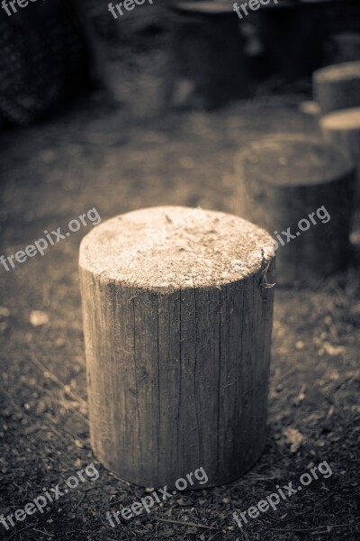 Wood Stump Hack Stock Grayscale Black And White Free Photos