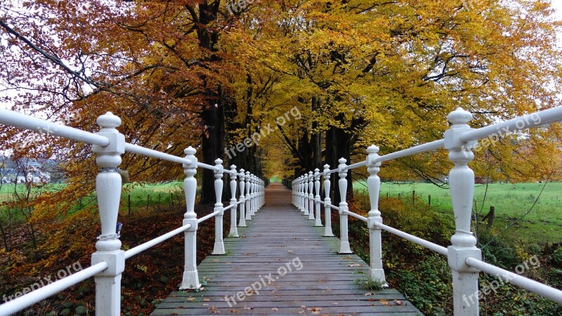 Autumn Autumn Leaves Seasons Fall Colors Leaves