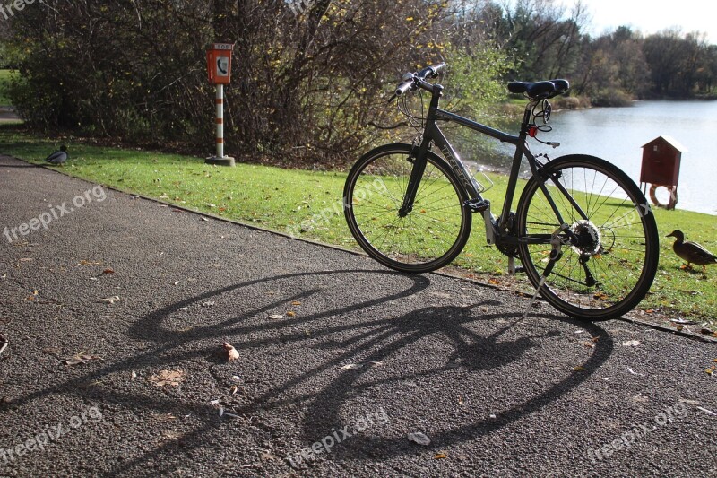 Bike Sunny Nature Bicycles Wheel