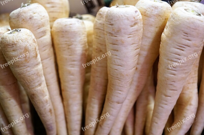 Radish Fruit Vegetables Eat Food