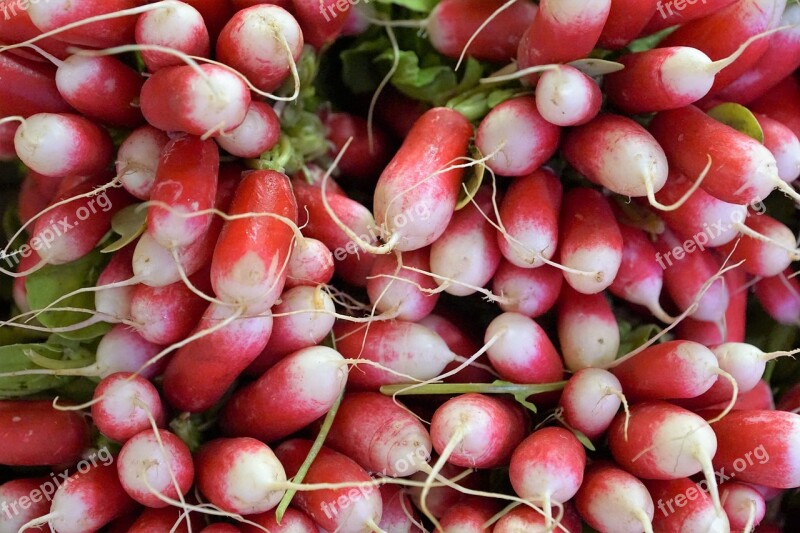 Radishes Fruit Vegetables Eat Food