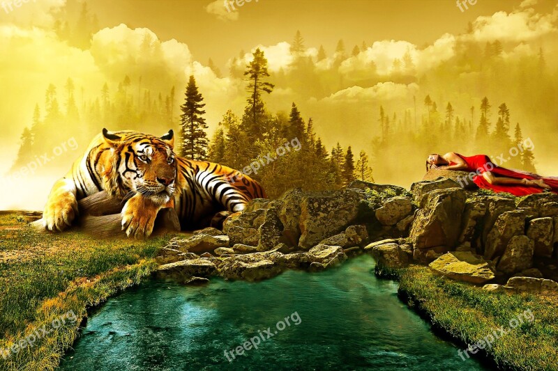 Landscape Tiger Animal Manipulation Photoshop