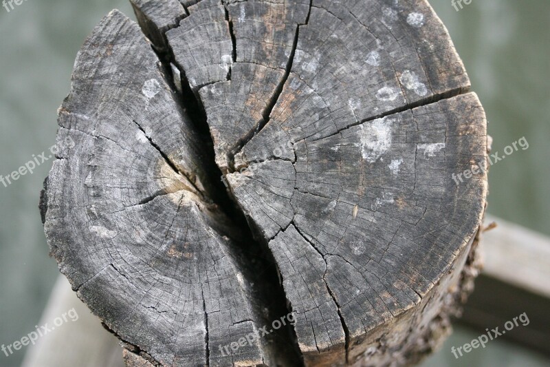 Tree Dry Crack Dry Wood Landscape Nature