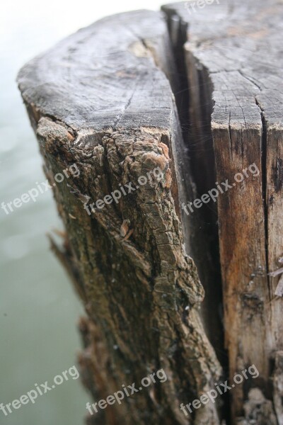 Tree Dry Crack Dry Wood Landscape Nature