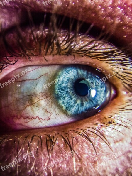 Eye Blue Macro Closeup Human