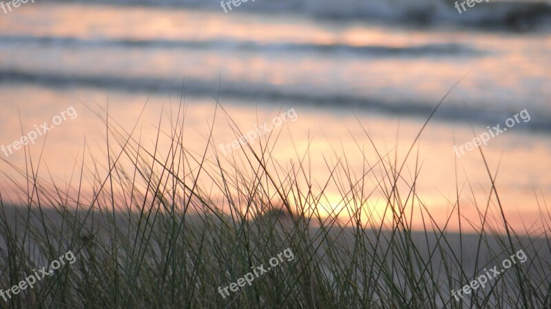 Sunset Beach Sea Evening Shore Evening