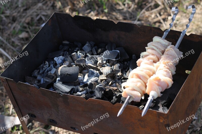 Shish Kebab Nature Food Skewers Mangal