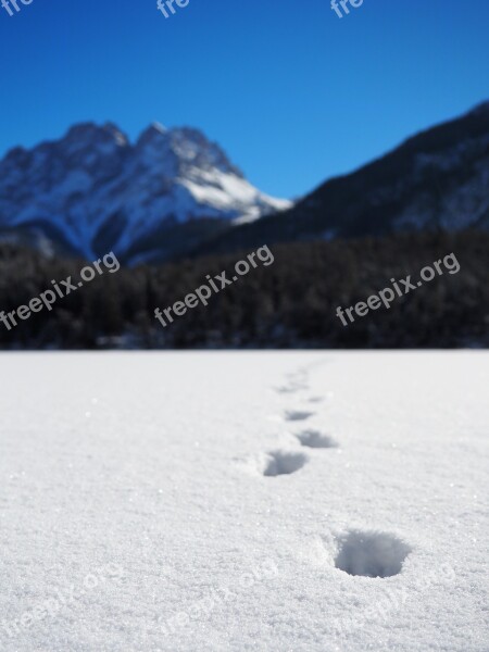 Tyrol Winter Winter Sports Snow Austria