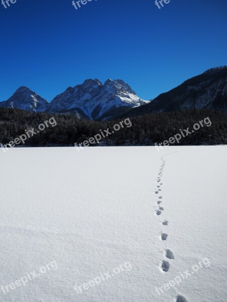 Tyrol Winter Winter Sports Snow Austria