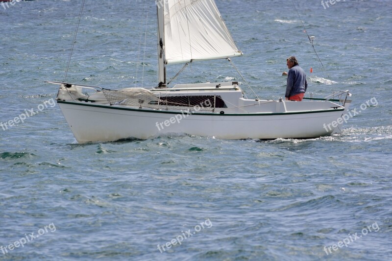 Boat Sailboat Navigation Marin Wind