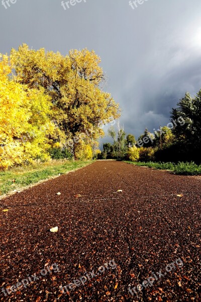 Path Trail Walking Running Yellow