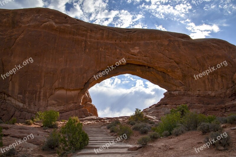 Arches National Park Trees Brush Rocks Desert