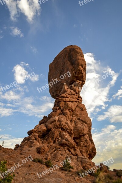 Arches National Park Trees Brush Rocks Desert