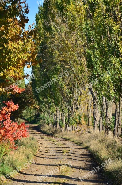 Follow Lommatzscher Care Käbschütztal Saxon Tuscany Autumn Avenue