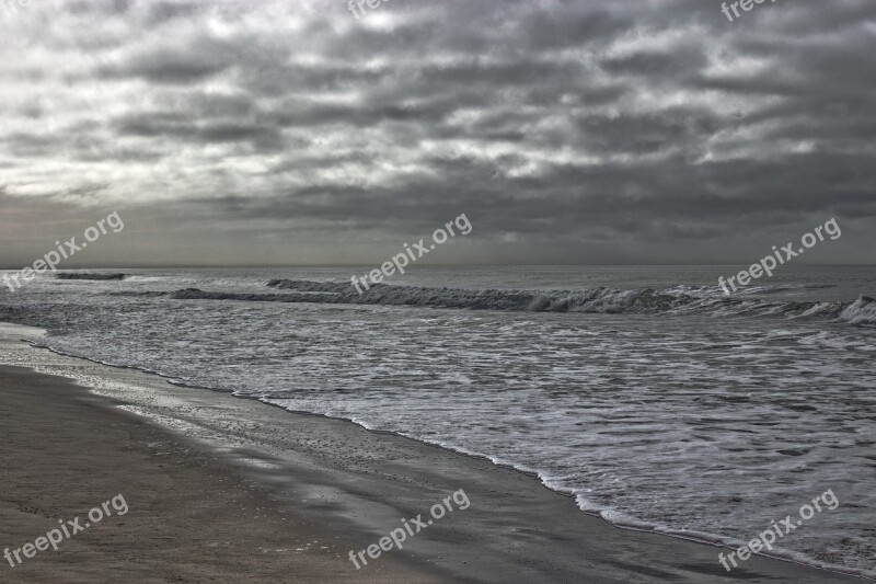 New Zealand Beach Nature View Water