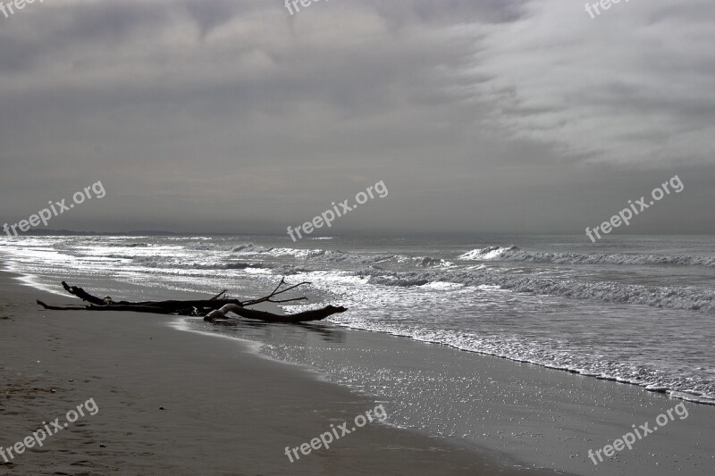 Ocean Cove New Zealand Water The Waves