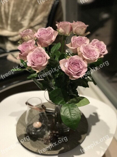 Roses Interior Flowers Light On The Table