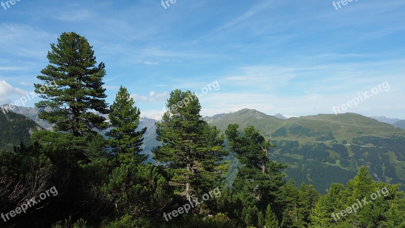 Badgastein Zirbenweg Hiking Nature Gastein