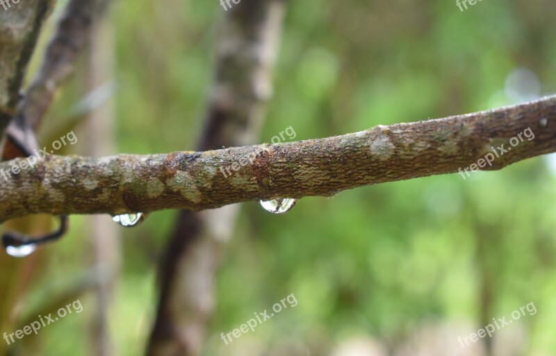 Drip Water Wet Rain Droplet