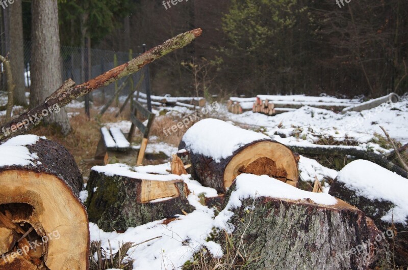 Wood Tree Winter Log Nature