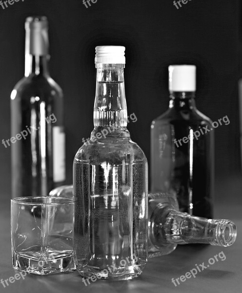 Alcoholism Vodka Addiction The Bottle The Consumption Of Alcohol