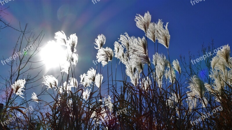 Sun Beams Sunbeams Landscape Sky