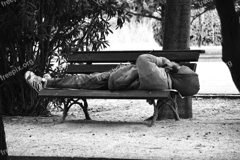 Siesta Afternoon Park Free Photos