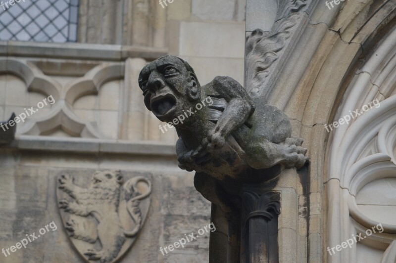 Gargoyle Architecture Gothic Cathedral Medieval