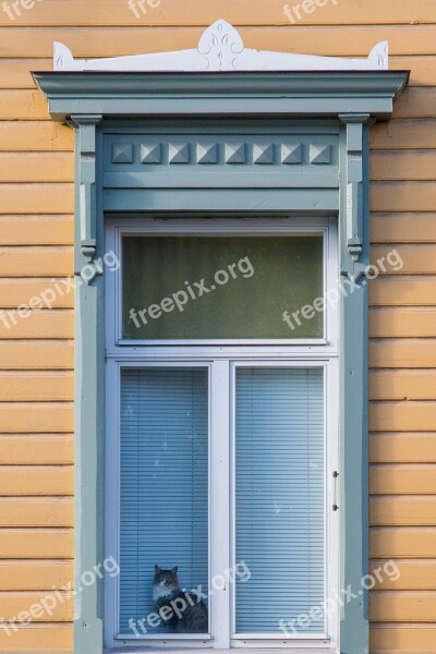 Cat Finnish Wooden House House Window