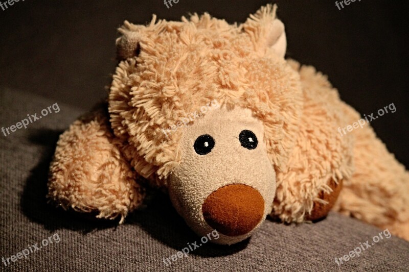 Stuffed Animal Teddy Bear Bear Bears Soft Toy