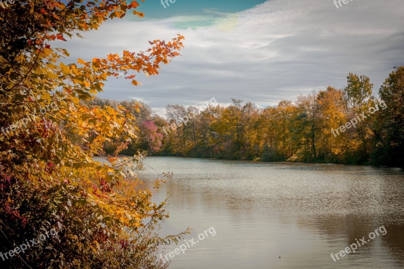 Autumn Tree Lake Waters Autumn Mood