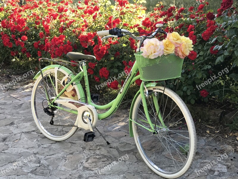 Bicycle Flowers Sport Spring Cyclist