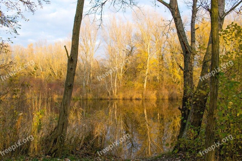 Autumn Jazero Lake Farby Colors