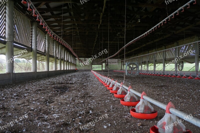 Barn Feeders Farm Industry Chicken Barn